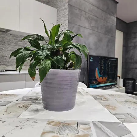 아파트 Stylish Escape *