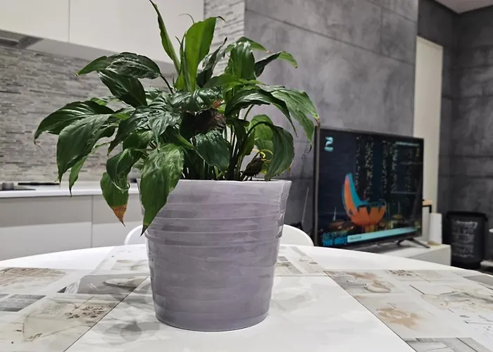 アパート Stylish Escape *